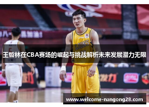 王哲林在CBA赛场的崛起与挑战解析未来发展潜力无限