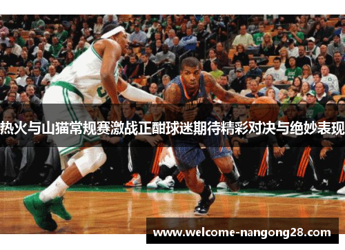 热火与山猫常规赛激战正酣球迷期待精彩对决与绝妙表现