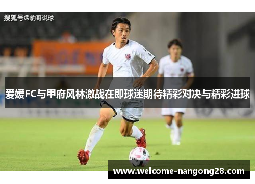 爱媛FC与甲府风林激战在即球迷期待精彩对决与精彩进球